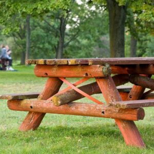 Photo of wooden picnic table with trees in the background. 